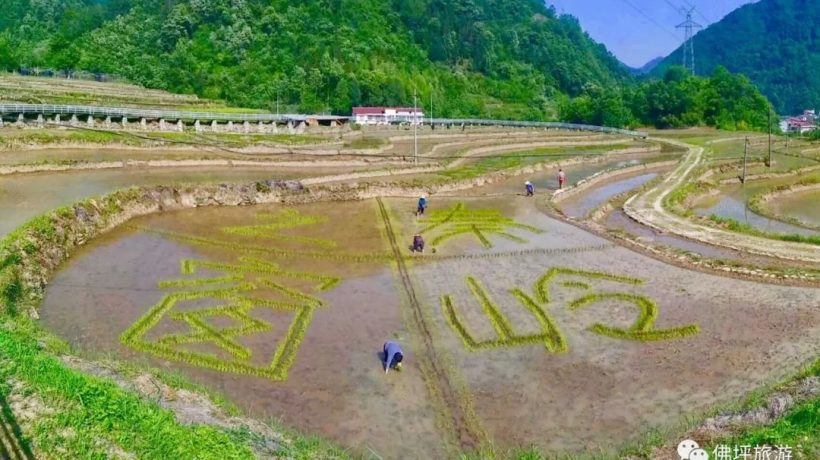 佛坪這些地方，讓你的春游不再單調(diào)！插圖17