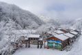 降溫要來(lái)了！1月11日—15日陜西多雨雪天氣 陜北降溫8-10 ℃縮略圖