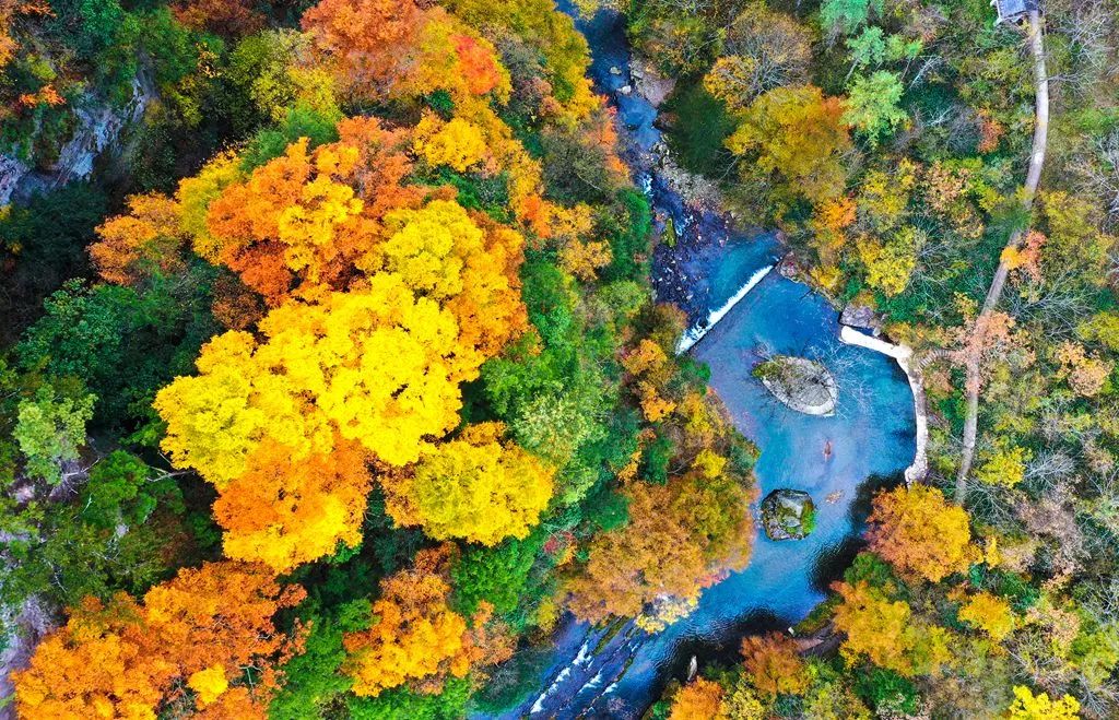 重磅！漢中這家4A景區(qū)全民免門(mén)票！