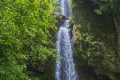 大霧黃色預(yù)警！漢中這些地方能見度低→縮略圖