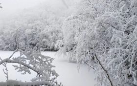 局地積雪可達(dá)10cm！冰雪路面如何安全行車？縮略圖