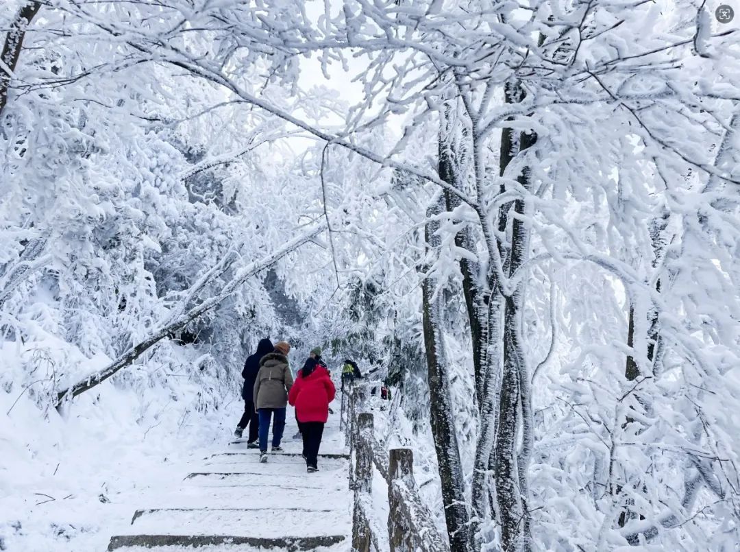 2024漢江源冰雪旅游季抖音大賽等你來挑戰(zhàn)！