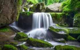 尋夢油菜花海，探秘漢江之源：三天兩晚奇遇之旅縮略圖